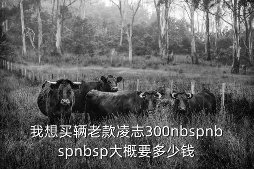 我想買輛老款凌志300nbspnbspnbsp大概要多少錢