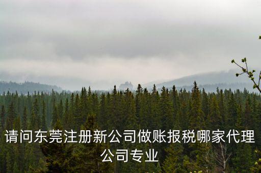 請問東莞注冊新公司做賬報稅哪家代理公司專業