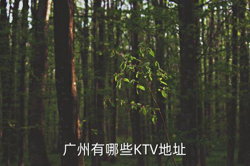 廣州有哪些KTV地址