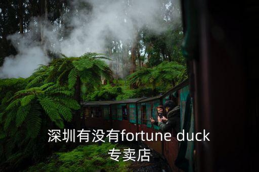 深圳有沒(méi)有fortune duck專(zhuān)賣(mài)店