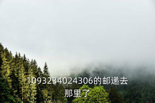 1093234024306的郵遞去那里了
