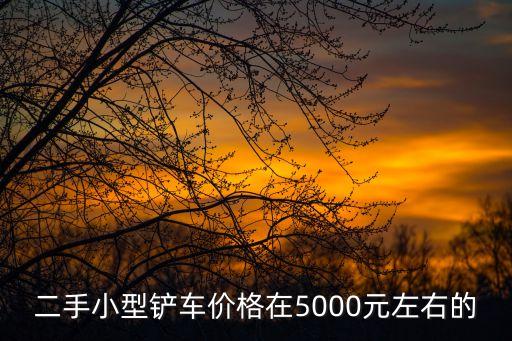 廣州二手小型鏟車，廣州那里有2手鏟車賣
