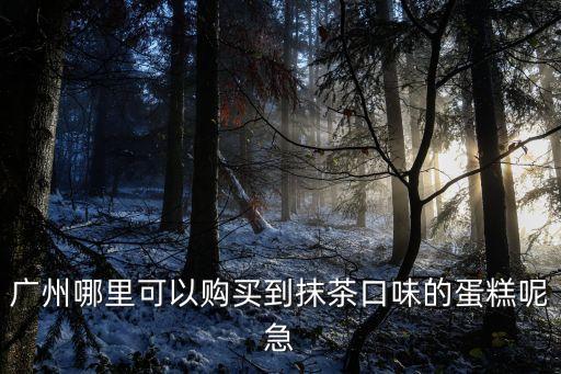 廣州哪里可以購(gòu)買(mǎi)到抹茶口味的蛋糕呢急