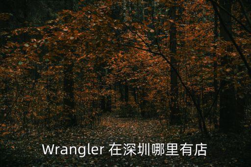 Wrangler 在深圳哪里有店