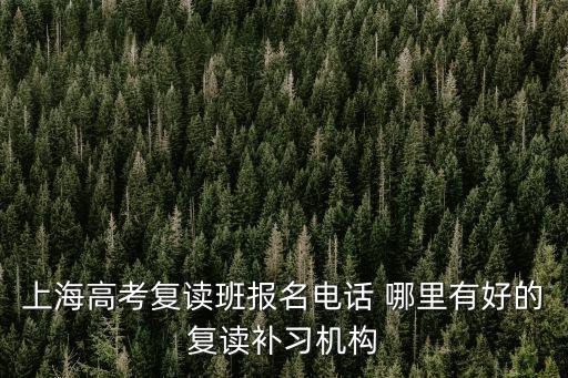 上海市的高三重讀機(jī)構(gòu)，上海有沒有好的復(fù)讀機(jī)構(gòu)