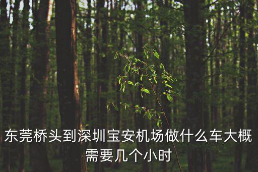 東莞橋頭到深圳寶安機場做什么車大概需要幾個小時