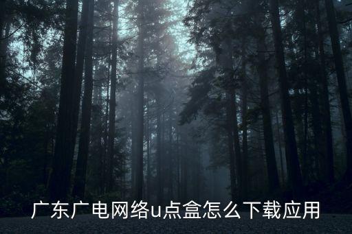 廣東廣電網絡u點盒怎么下載應用