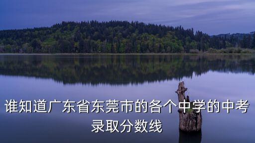 誰知道廣東省東莞市的各個(gè)中學(xué)的中考錄取分?jǐn)?shù)線