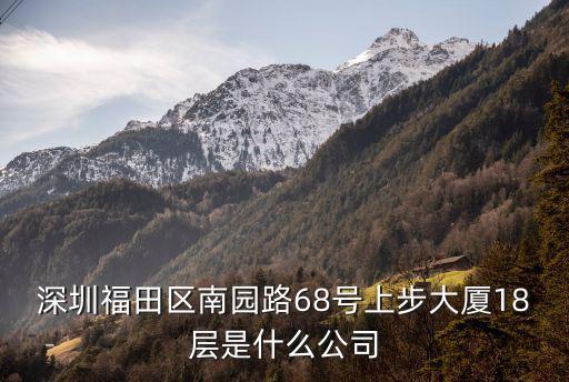 深圳福田區(qū)南園路68號(hào)上步大廈18層是什么公司