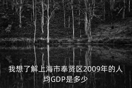 我想了解上海市奉賢區2009年的人均GDP是多少