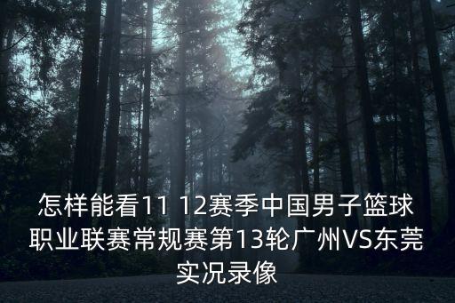 怎樣能看11 12賽季中國男子籃球職業聯賽常規賽第13輪廣州VS東莞實況錄像