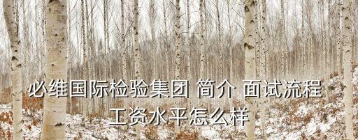 必維國際檢驗集團(tuán) 簡介 面試流程 工資水平怎么樣