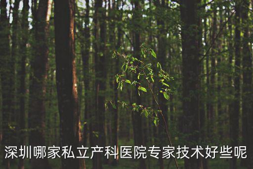 深圳私人產科診所，深圳哪家私立產科醫院專家技術好些呢