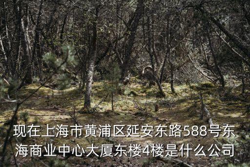 現在上海市黃浦區延安東路588號東海商業中心大廈東樓4樓是什么公司
