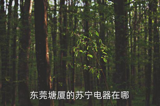 東莞天榮百貨在哪里，東莞塘廈的蘇寧電器在哪