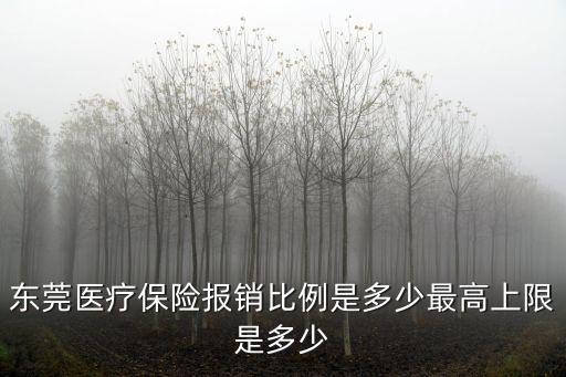 東莞醫(yī)療保險(xiǎn)報(bào)銷比例是多少最高上限是多少