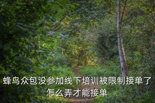 深圳蜂鳥谷教育，蜂鳥都在哪里