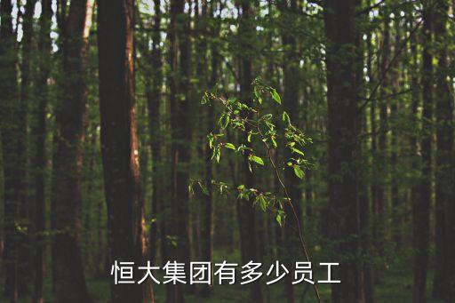 恒大集團有多少員工