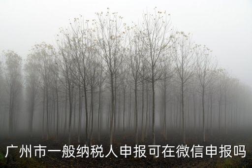 廣州市一般納稅人申報(bào)可在微信申報(bào)嗎