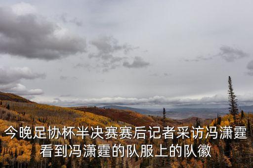 今晚足協杯半決賽賽后記者采訪馮瀟霆看到馮瀟霆的隊服上的隊徽