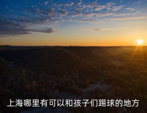 上海哪里有可以和孩子們踢球的地方