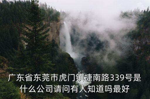 廣東省東莞市虎門鎮捷南路339號是什么公司請問有人知道嗎最好