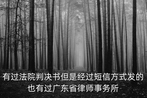 有過法院判決書但是經過短信方式發的也有過廣東省律師事務所