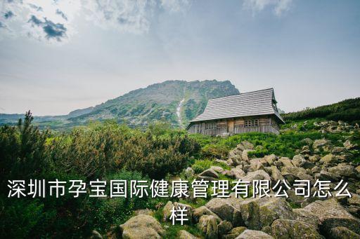 深圳市孕寶國際健康管理有限公司怎么樣