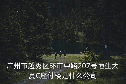 廣州市越秀區環市中路207號恒生大夏C座付樓是什么公司