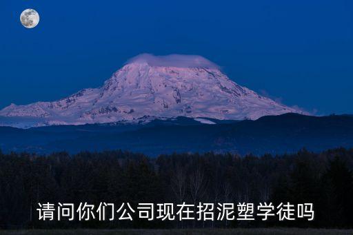 泥塑學徒招聘 深圳，請問在深圳市現在有招學徒工的嗎