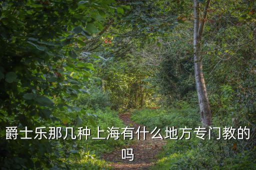 爵士樂那幾種上海有什么地方專門教的嗎