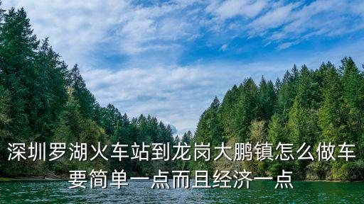 深圳羅湖火車站到龍崗大鵬鎮怎么做車要簡單一點而且經濟一點
