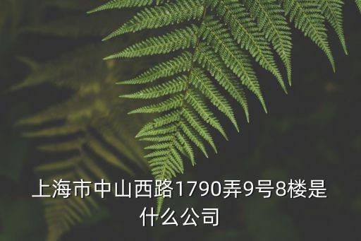 上海市中山西路1790弄9號8樓是什么公司