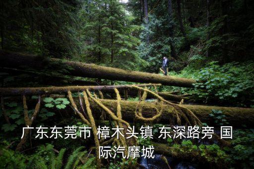 廣東東莞市 樟木頭鎮(zhèn) 東深路旁 國際汽摩城
