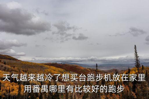 天氣越來越冷了想買臺跑步機放在家里用番禺哪里有比較好的跑步