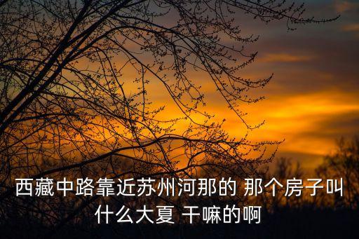 西藏中路靠近蘇州河那的 那個(gè)房子叫什么大夏 干嘛的啊
