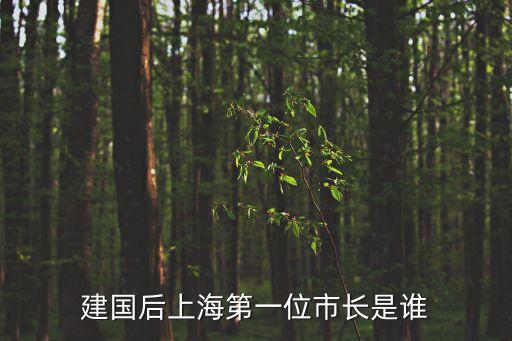 上海市長的時候武漢，上海市 武漢市 長沙市 深圳市