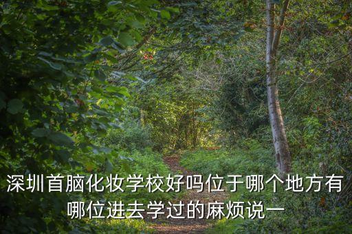 temlab 深圳，深圳IMAX影院目前有幾家分別在什么地方