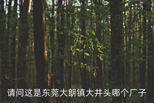 請問這是東莞大朗鎮大井頭哪個廠子