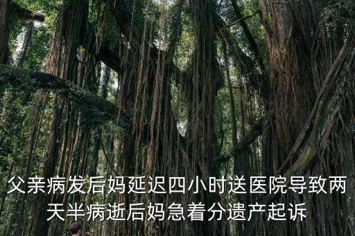 父親病發后媽延遲四小時送醫院導致兩天半病逝后媽急著分遺產起訴