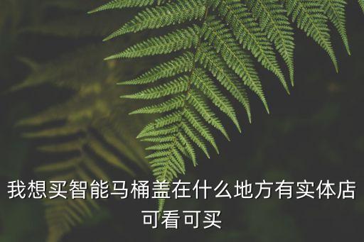 我想買智能馬桶蓋在什么地方有實體店可看可買
