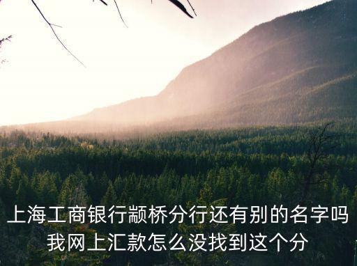 工商銀行上海市斜橋支行，上海松江工商銀行的位置