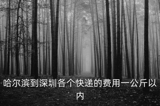哈爾濱到深圳各個快遞的費用一公斤以內