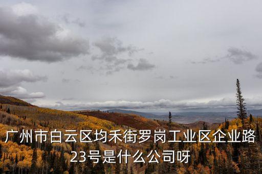 廣州市白云區均禾街羅崗工業區企業路23號是什么公司呀