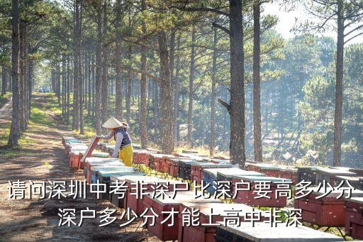 請問深圳中考非深戶比深戶要高多少分深戶多少分才能上高中非深