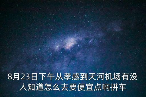 8月23日下午從孝感到天河機(jī)場(chǎng)有沒(méi)人知道怎么去要便宜點(diǎn)啊拼車(chē)