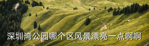 深圳灣公園哪個區風景漂亮一點啊啊