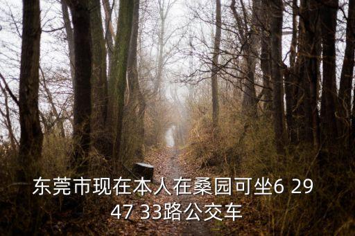 東莞市現(xiàn)在本人在桑園可坐6 29 47 33路公交車
