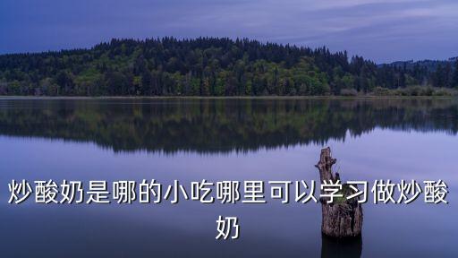 炒酸奶是哪的小吃哪里可以學(xué)習(xí)做炒酸奶