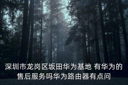 深圳市龍崗區(qū)坂田華為基地 有華為的售后服務嗎華為路由器有點問
